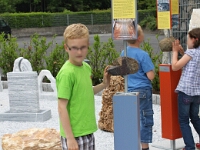 IMG 0548