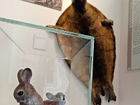 IMG 20240423 115039 708