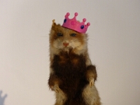 Herner Hamster