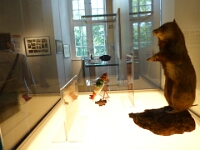 Mythen und Legenden vom Tollen Jobst oder dem Herner Hamster gehören auch zu den Schloss-Geschichte(n).