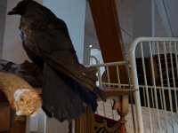 GeSCHLOSSene Gesellschaft - Kunstinstallation von Ines Braun und Iris Stephan, Köln