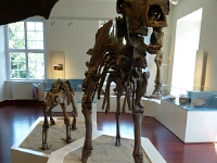 P1040976