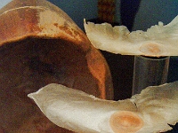 abheben413 1