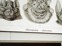 abheben425